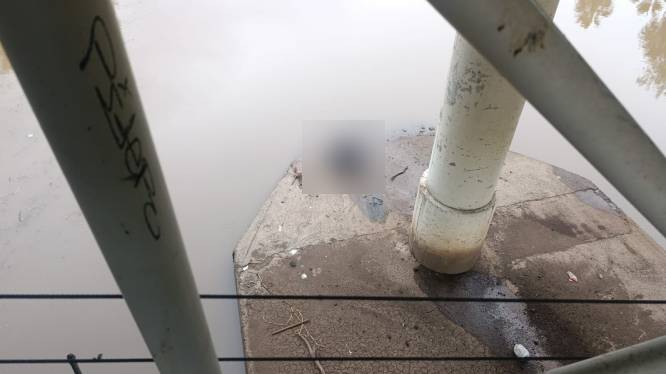 VIDEO: Hombre maniatado es arrojado al río y logra pedir ayuda