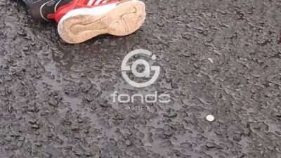 TERRIBLE. José tenpia 41 años, iba en su motoneta y un camión de carga le quitó la vida
