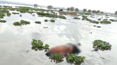 MISTERIO. Aparece cuerpo sin vida de un hombre en una laguna del Edomex