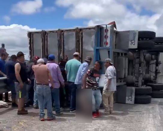 VIDEO: Pobladores abren tráiler volcado y amarran puerquitos para robarlos