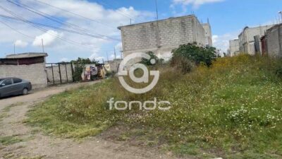 URGENTE: Ella fue a dejar a sus hijos a la escuela y al volver la mataron