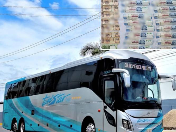 PARÁSITO: Montachoques amenaza a chofer de ETN con ‘sacarle las tripas’