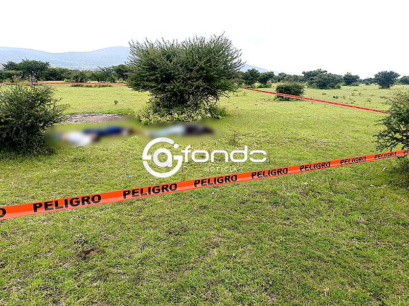 TERROR. Mujer descubre los cuerpos de 3 hombres fueron ejecutados en el Estado de México