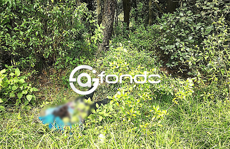 FEMINICIDIO #114. Una mujer fue asesinada y arrojada al fondo de una barranca en el Estado de México