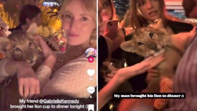 VIDEOS: Extranjeros arman fiesta en zona exclusiva y se divierten con un cachorro de león