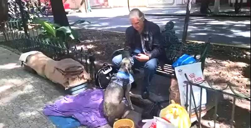 VIDEO: De la gloria a la calle; actor de Televisa vive en un camellón con sus mascotas