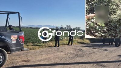 FEMINICIDIO #113. Encuentran desnuda y sin pies el cuerpo de una mujer asesinada en el Estado de México