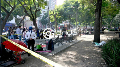 DRAMA. ‘Ayer llegó, pero se veía mal’; el hombre solo aguantó una noche, murió bajo los árboles de la Alameda