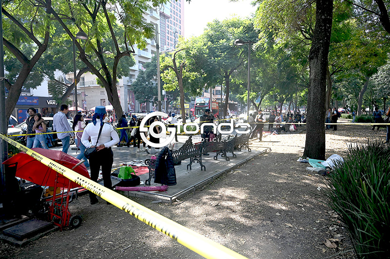 DRAMA. ‘Ayer llegó, pero se veía mal’; el hombre solo aguantó una noche, murió bajo los árboles de la Alameda