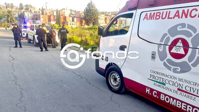 INHUMANO. Bebé de 7 meses de gestación fue abandonado y ya era devorado por perros callejeros
