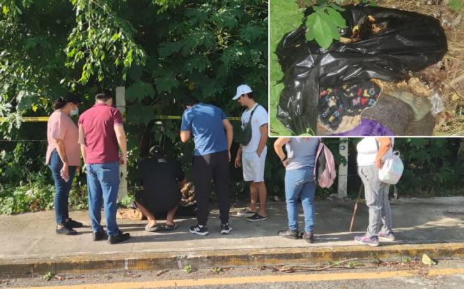 INFAME: Crematorio de mascotas entregaba urnas con tierra y aventaba animales a baldíos