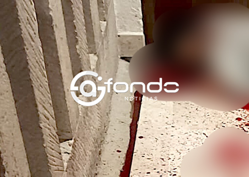 FEMINICIDIO #100. Renata tenía 35 años; ella fue apuñalada brutalmente en su propio hogar
