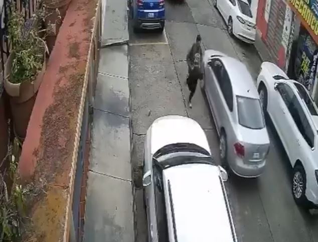 VIDEO: Señor retira 300 mil pesos del banco; asaltantes lo esperaban afuera