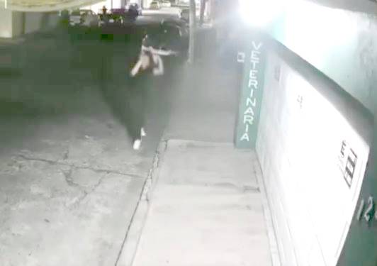 VIDEO: Borrachos pierden la cabeza porque una grúa se llevó su camioneta