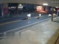VIDEO: Motociclista a toda velocidad se mata contra una vaca; era futbolista