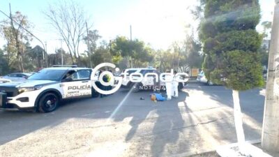 URGENTE: Abuelo iba a su trabajo cuando un conductor lo dejó sin vida