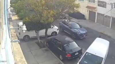 VIDEO: Llanto e impotencia; conductor mata al perrito ‘Rufo’ y se da a la fuga