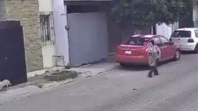 VIDEO: Abuela y su perrita son atacadas sin motivo por un criminal