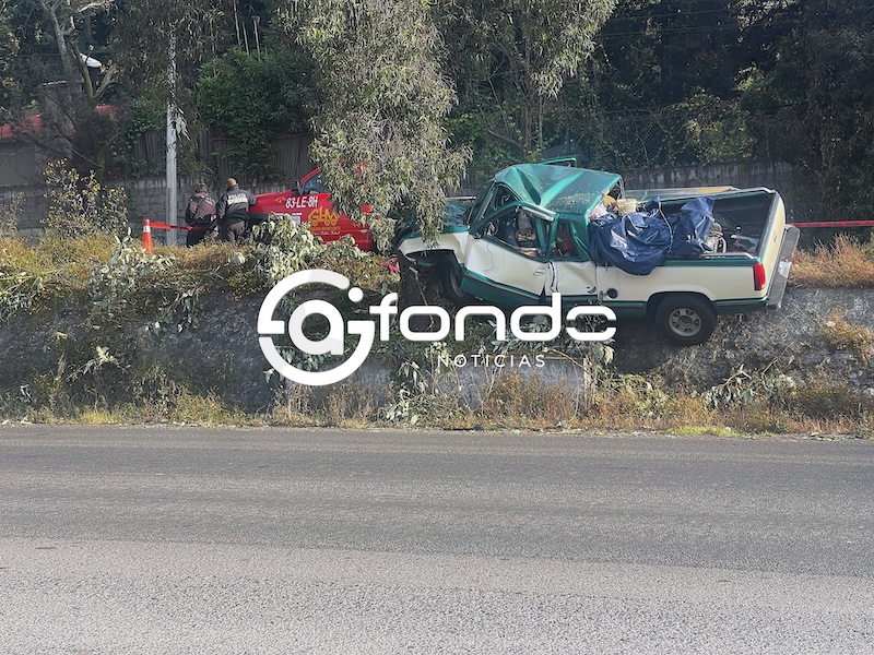 TRAGEDIA. Camioneta a toda velocidad se estrella contra un árbol y muere una mujer