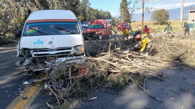 ACCIDENTE: Viento derriba un árbol y una combi de pasajeros se estrella en Edomex