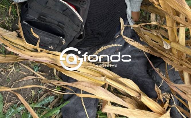 FEMINICIDIO #118. Asesinan a golpes a una mujer y dejan su cuerpo en campo de cultivo del Edomex