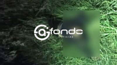 FEMINICIDIO #121. Matan a golpes a una mujer y la abandonan en un terreno baldío