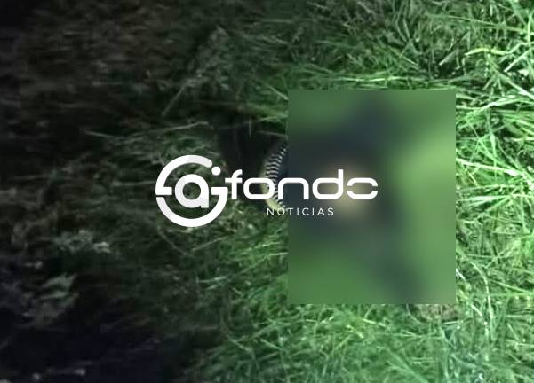 FEMINICIDIO #121. Matan a golpes a una mujer y la abandonan en un terreno baldío