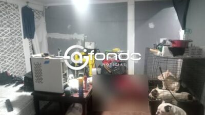 MISTERIO. Enrique y Elizabeth estaban muertos y junto a ellos estaban tres perros carísimos