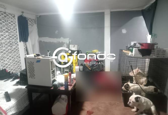 MISTERIO. Enrique y Elizabeth estaban muertos y junto a ellos estaban tres perros carísimos