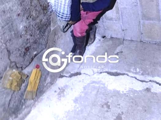 FEMINICIDIO #123. Ladrones asesinan a abuelita de 68 años para robarle sus borregos en Edomex