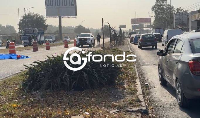 VIDEO: Sábado trágico; muere una persona arrollada en el carril del Mexibús
