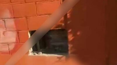 VIDEO: Rateros abren enorme hoyo para robar 40 mil pesos en herramienta