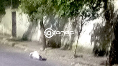 VIOLENCIA. Asesinan a un hombre, lo envuelven en plástico y lo tiran en una calle del Estado de México