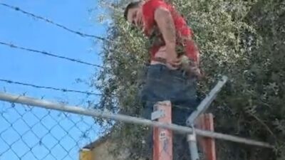 VIDEO: Ladrón iba a brincar a una casa y queda atrapado en el alambre de púas
