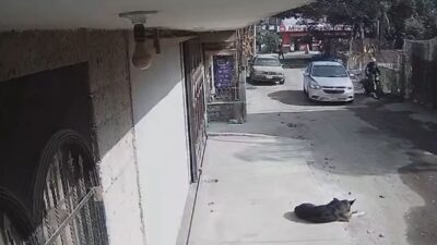VIDEO: Graban ejecución; conductor intenta escapar, pero es asesinado en Edomex