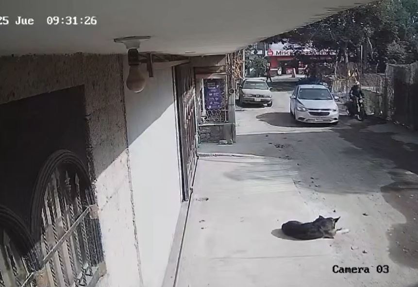 VIDEO: Graban ejecución; conductor intenta escapar, pero es asesinado en Edomex