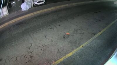 VIDEO: ‘Ladrón fantasma’ se cubre con una lona y desarma un transformador