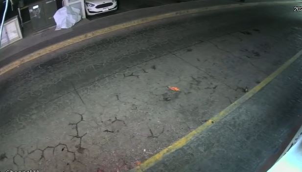 VIDEO: ‘Ladrón fantasma’ se cubre con una lona y desarma un transformador