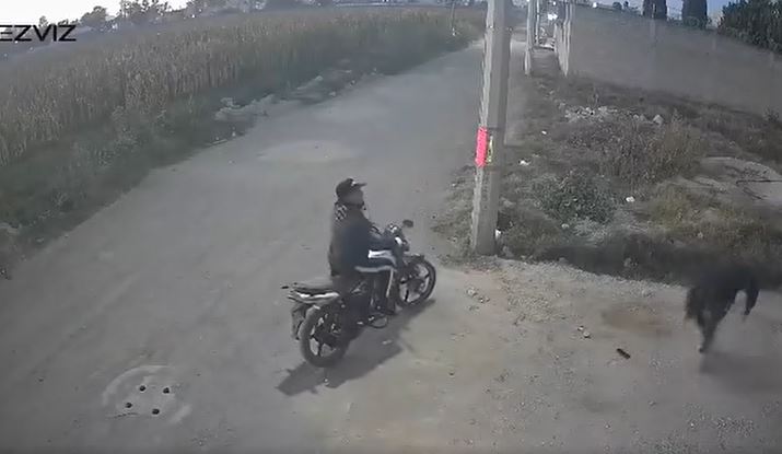 VIDEO: Mujer es atacada por dos asaltantes en moto al amanecer