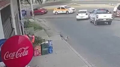 VIDEO: Madre iba con su hija, intentó ganar el paso y las arrollaron