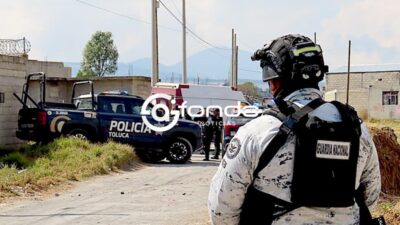 SALVAJE. Jauría de perros ataca y devora a un hombre en el Estado de México