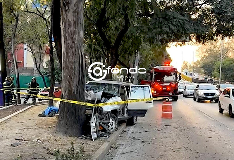 TRAGEDIA. Hombre de 55 años muere al chocar en su camioneta contra un árbol