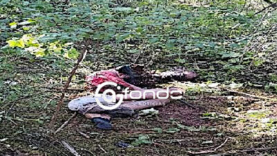 TERRORÍFICO. Encuentran cuerpo de un hombre devorado en medio del bosque en Edomex