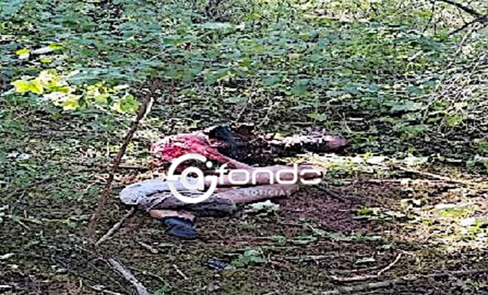 TERRORÍFICO. Encuentran cuerpo de un hombre devorado en medio del bosque en Edomex