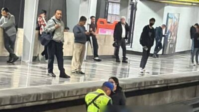 TRISTE: Perrito entra al Metro, baja a las vías y muere electrocutado