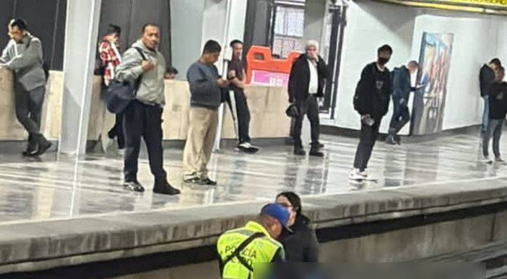 TRISTE: Perrito entra al Metro, baja a las vías y muere electrocutado