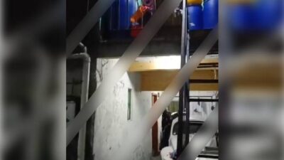 VIDEO: ‘¡Cálmense!’; criminal grita desesperado cuando policías lo sacaban de su guarida