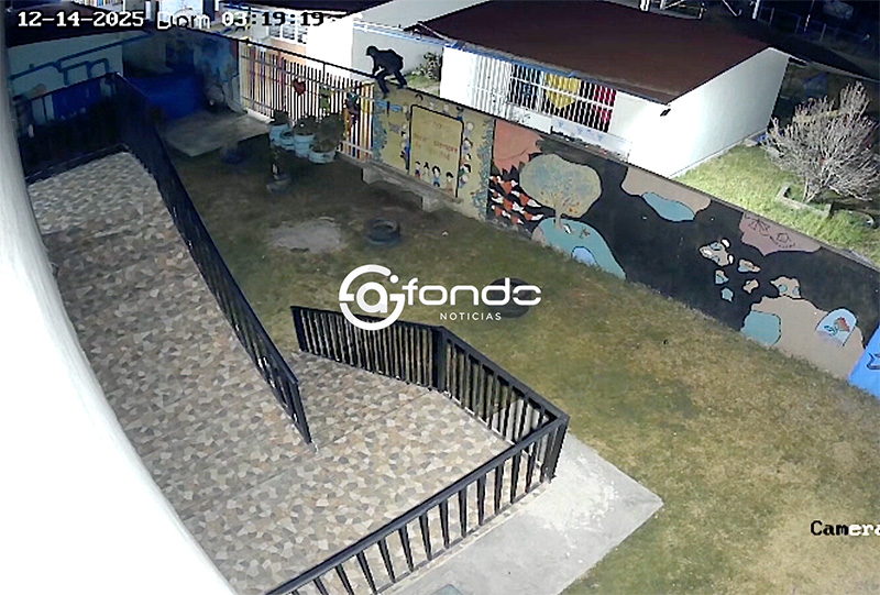 VIDEO. Delincuentes entran de madrugada a una escuela y roban todo lo que pueden en Edomex