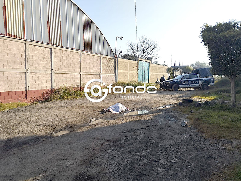 FEMINICIDIO #124. Una joven de 25 años aproximadamente fue asesinada a golpes en calles del Edomex