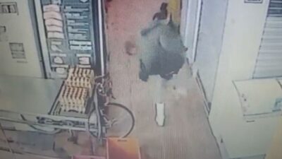 VIDEO: Sujeto mata a golpes a un gatito en un mercado; le dicen ‘El Cuba’